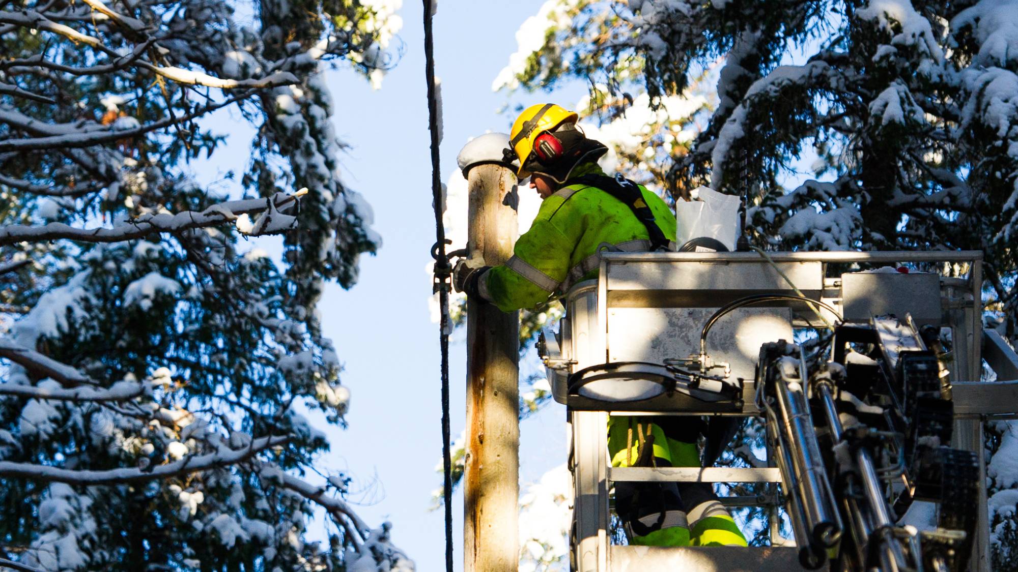 Man i skylift bland träd. Vinter och snö.